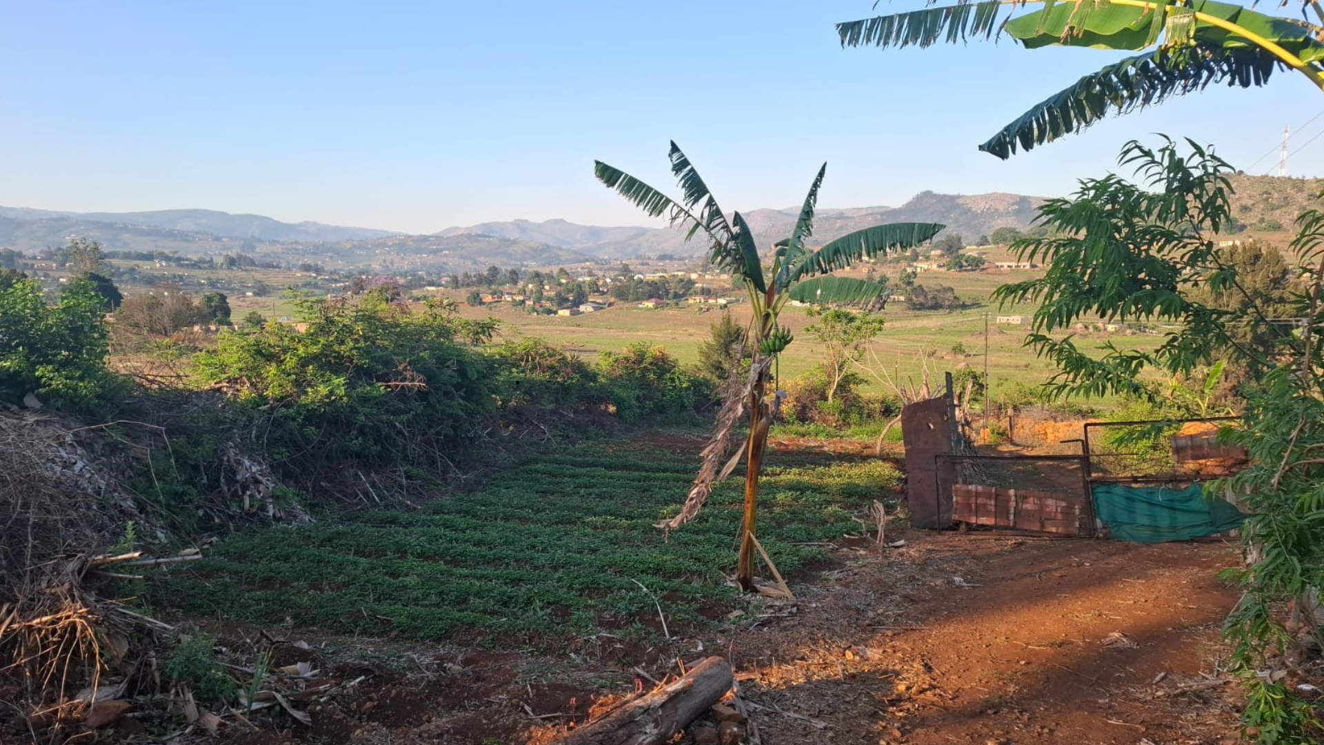 Untitled design (52)