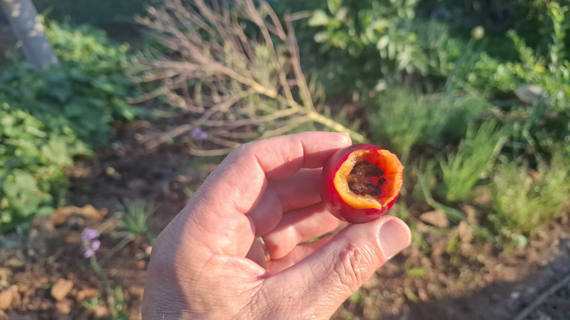 Untitled design (53)