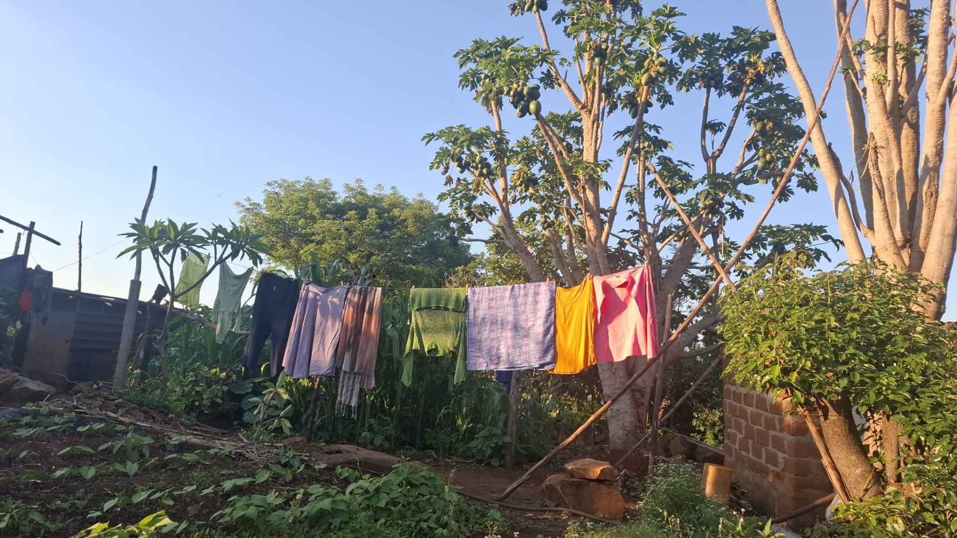 Untitled design (56)