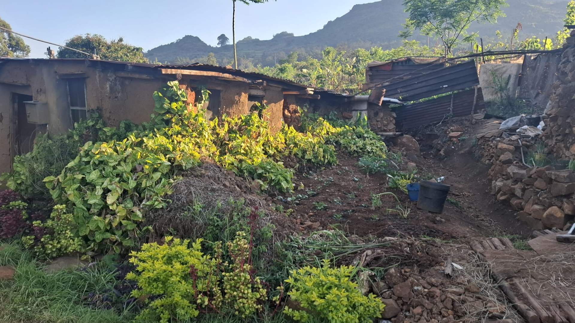 Untitled design (58)